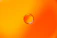 Close-up of a vibrant orange fluid graphic element on a dark background.
