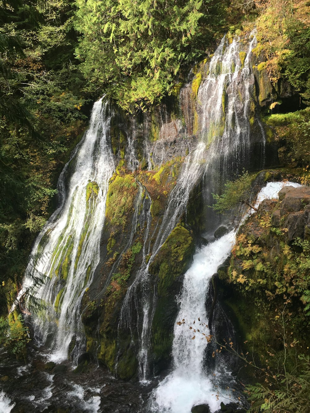 waterfalls in the middle of green trees