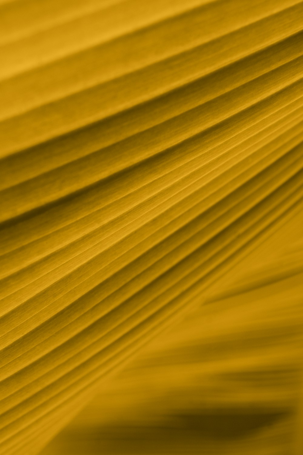 yellow curtain in close up photography