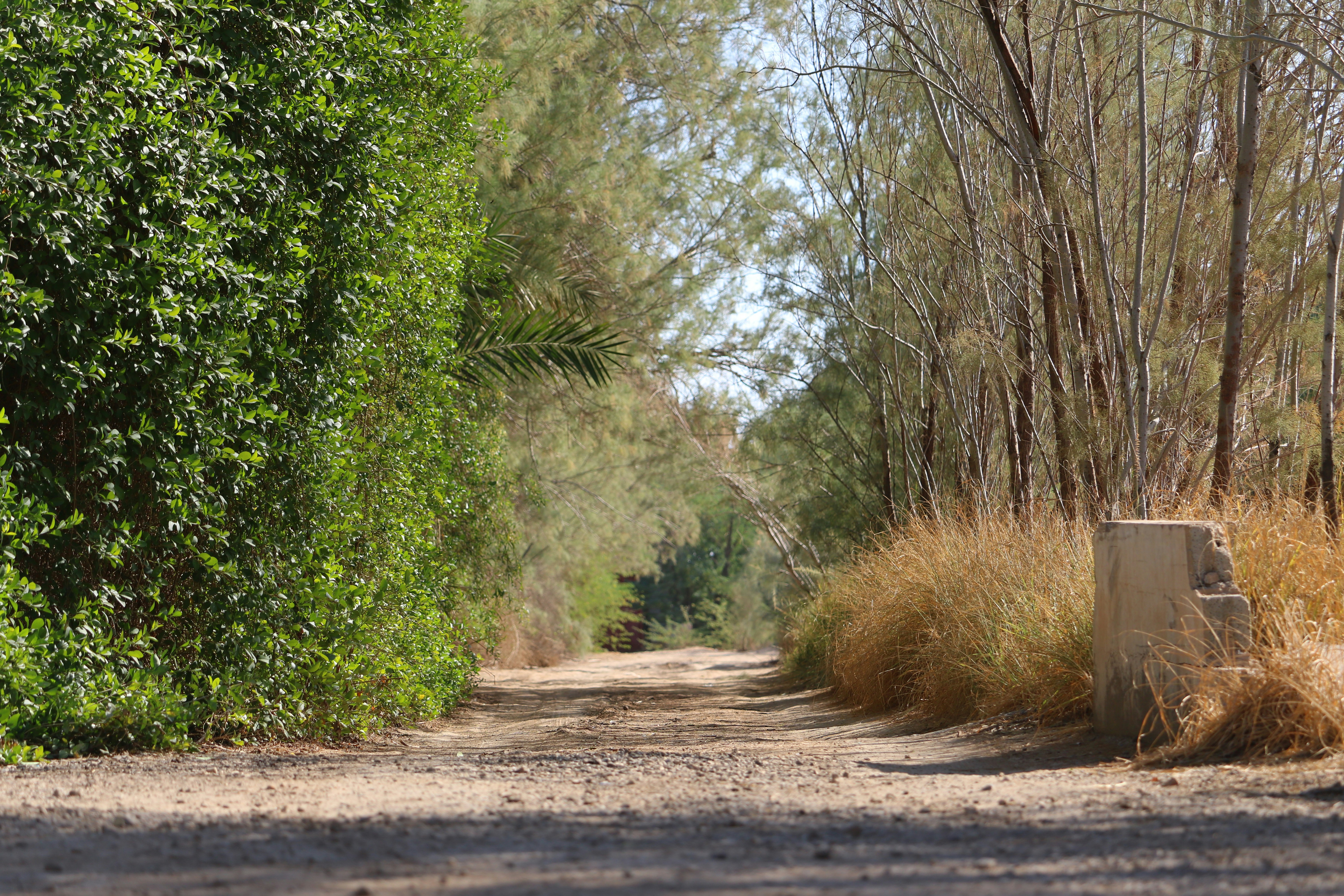 Photo by ccrisortiz2