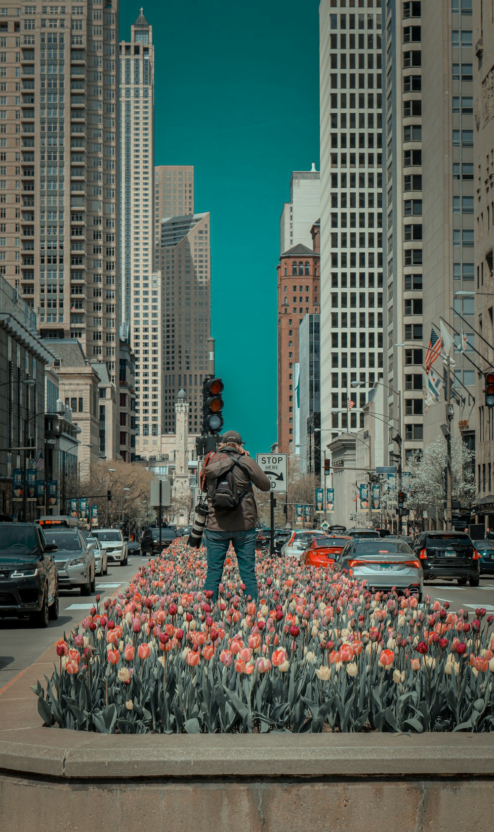 man in black jacket standing on red and white flower petals on street during daytime