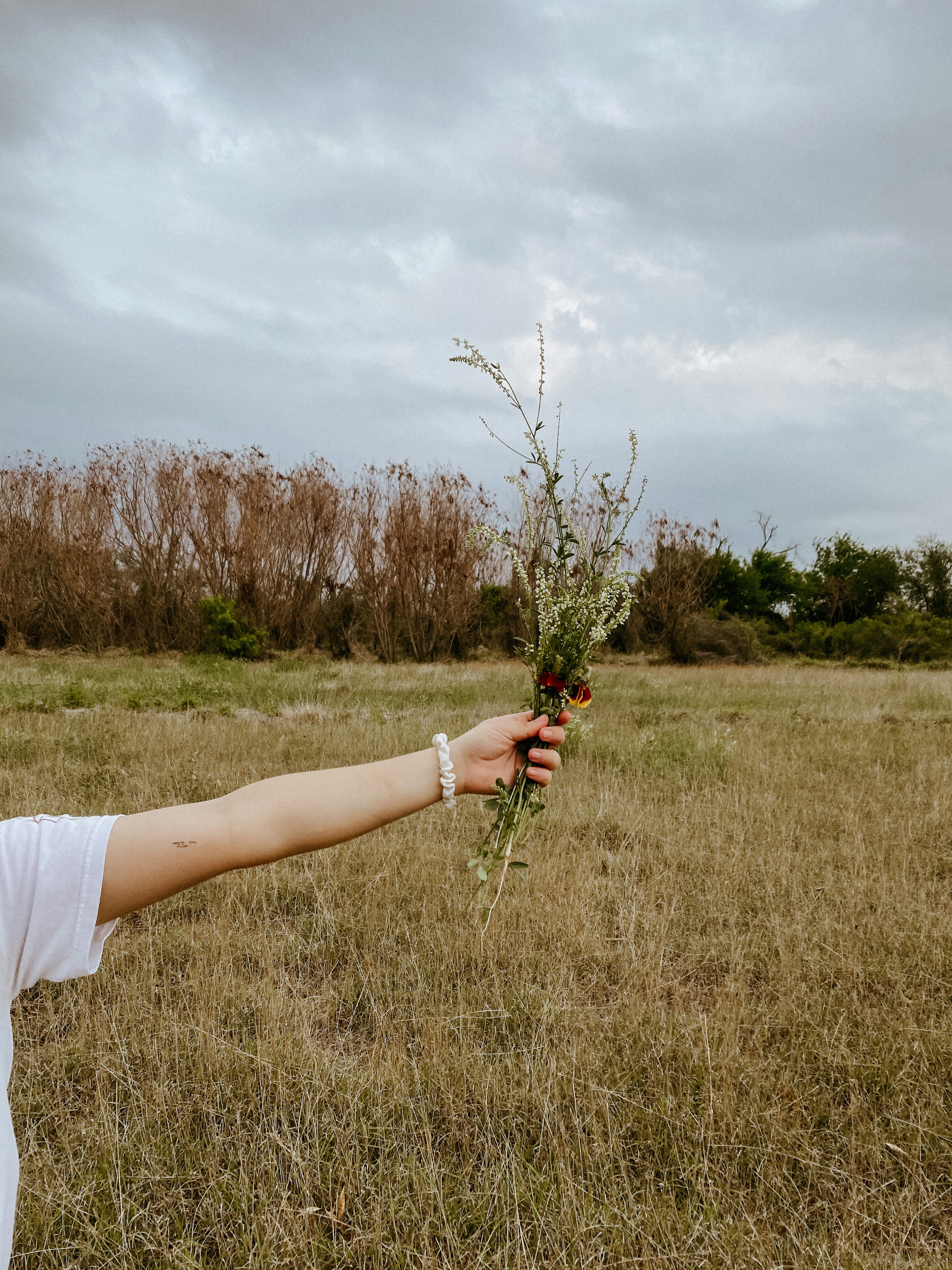 Photo by benignohoyuela