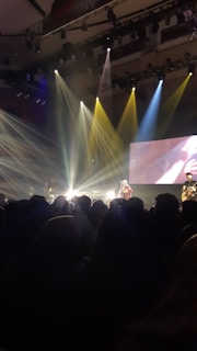 A live concert with an energetic crowd and a performing band on stage.