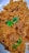 A plate filled with golden-brown rice mixed with chunks of tender meat, garnished with fresh green coriander leaves.