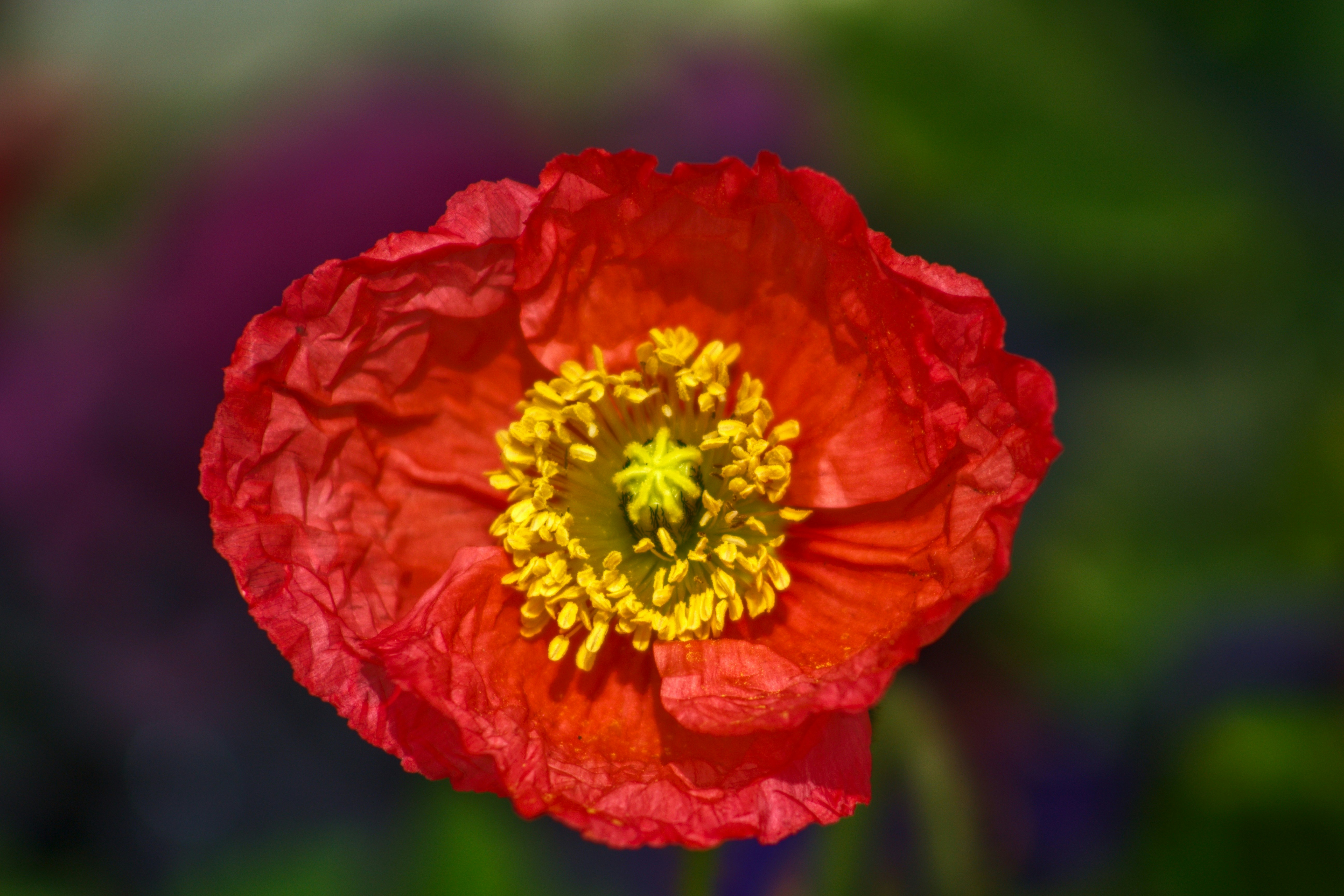 Photo by joshua_hoehne