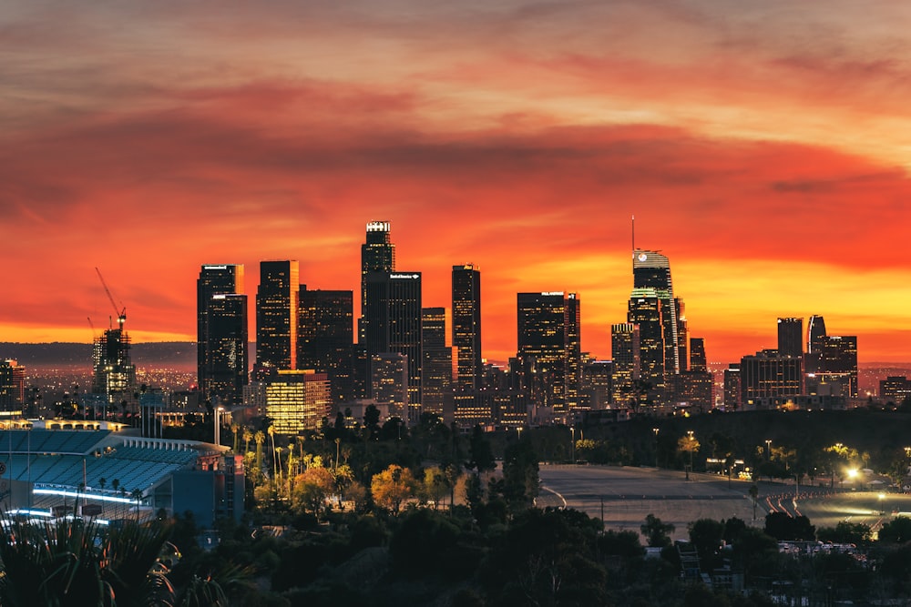 city skyline during night time