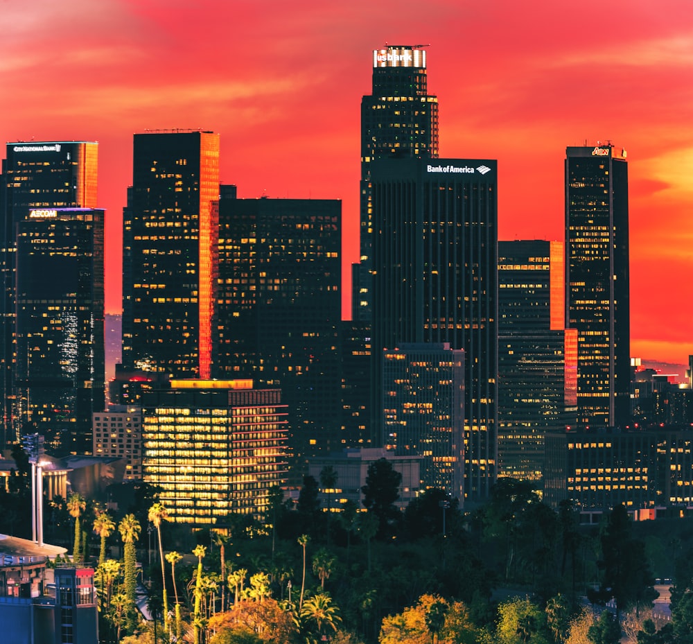 city skyline during night time