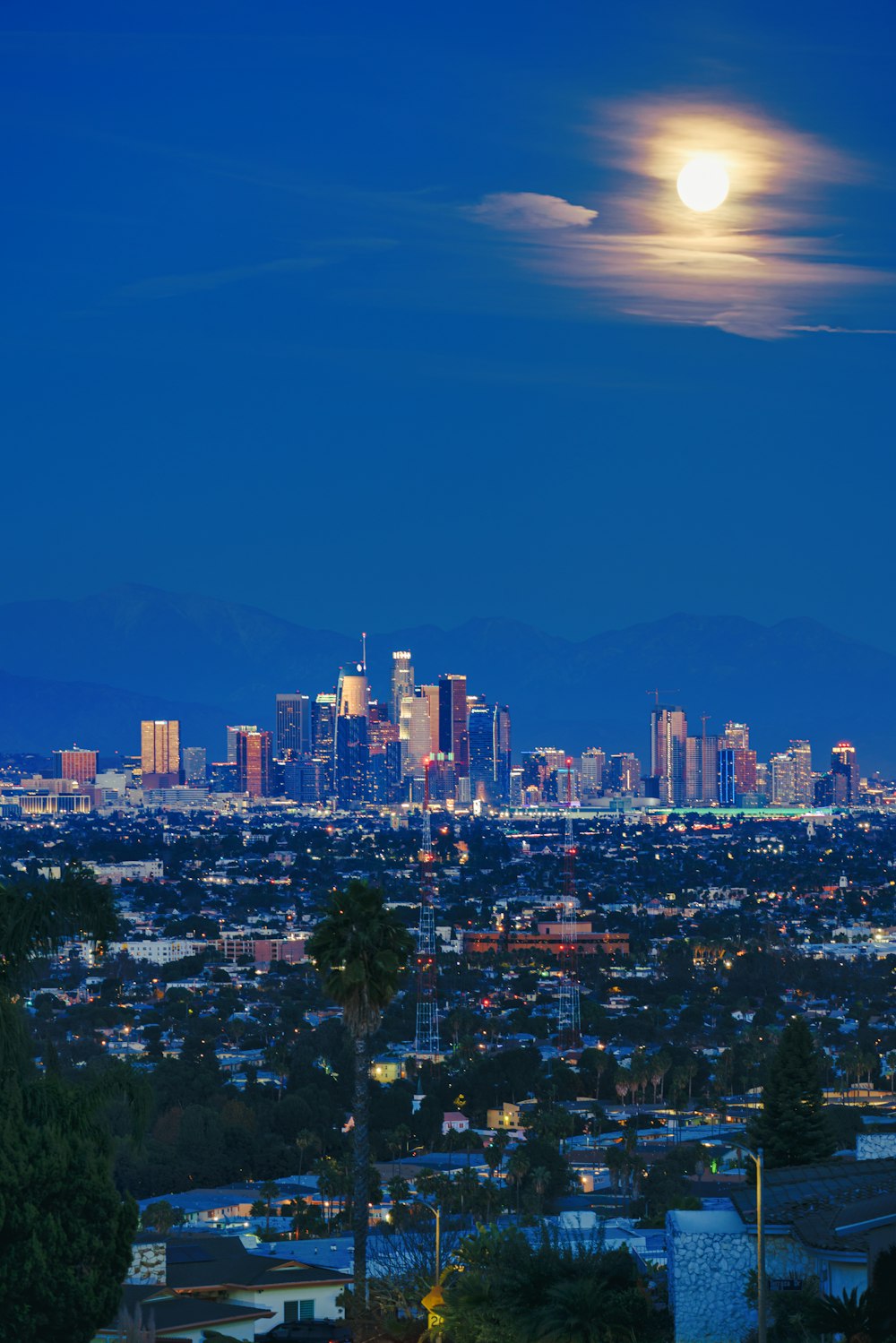 city skyline during night time