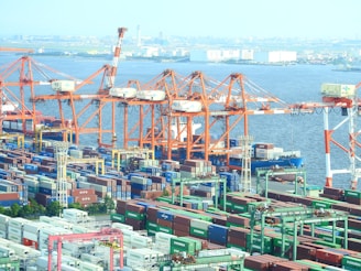 A busy shipping port with numerous cargo containers arranged in stacks and several large cranes loading and unloading ships. The cranes are orange and white, and there is a body of water in the background with ships and a city skyline in the distance.