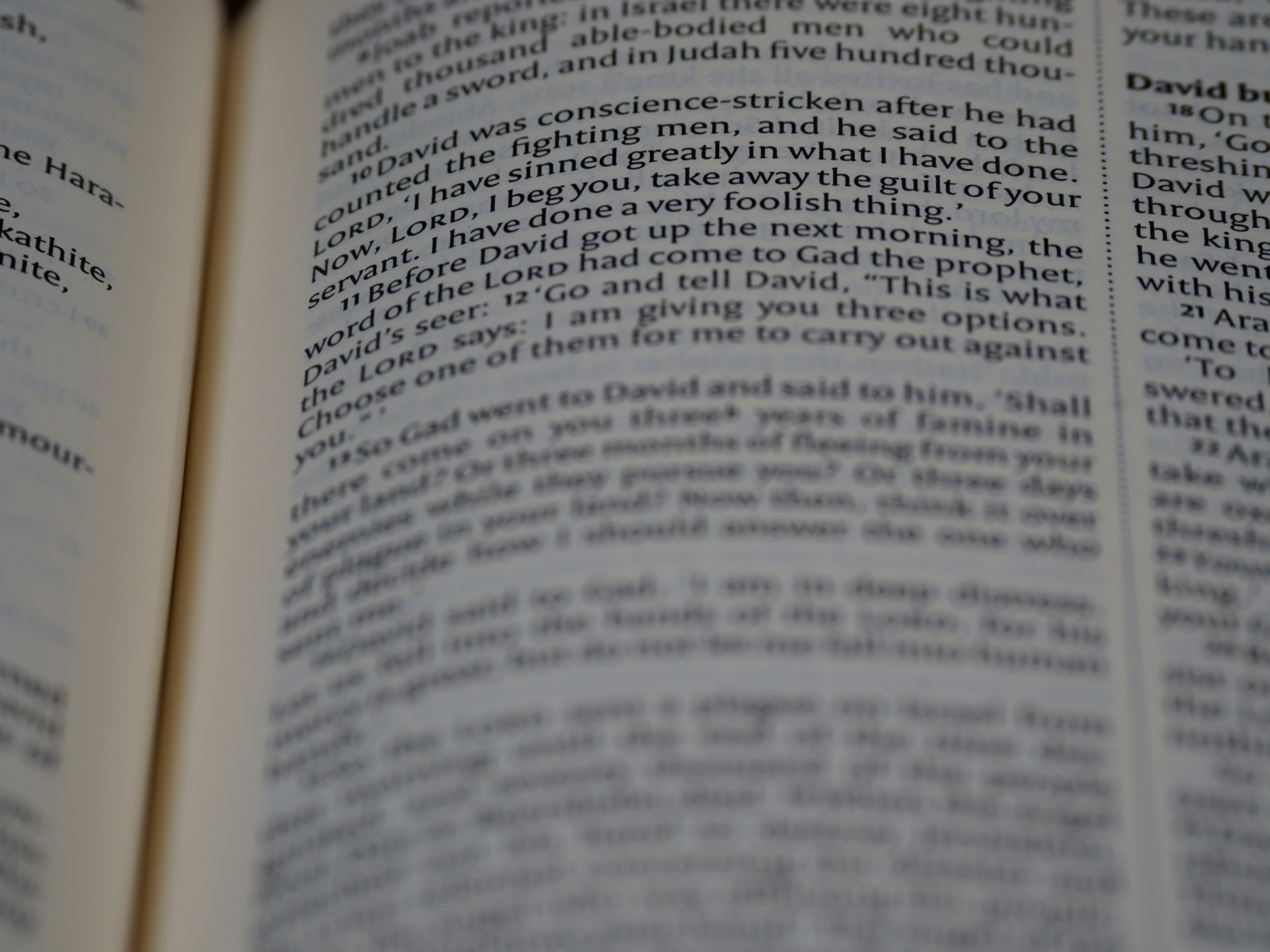 Photo by brett_jordan