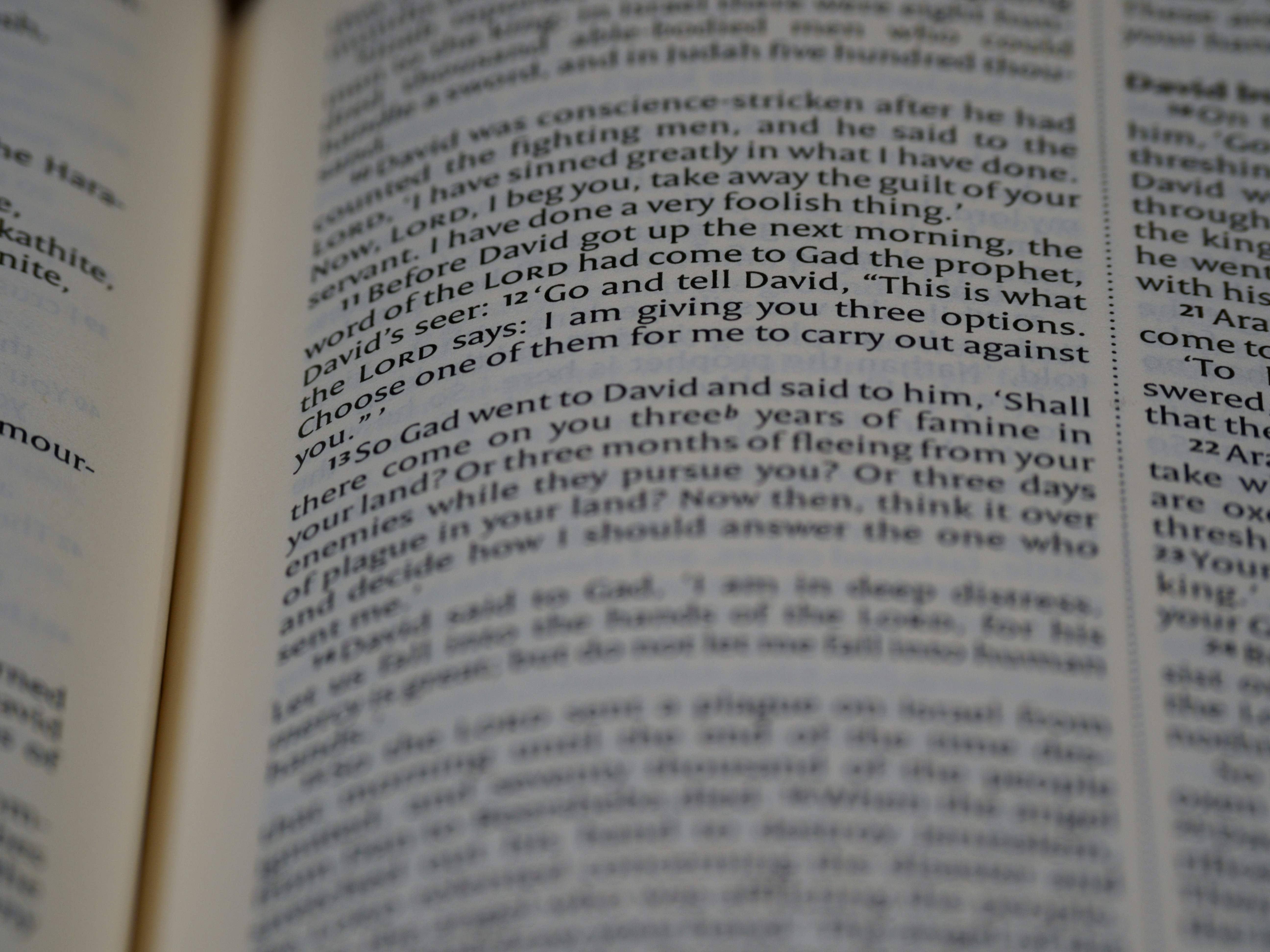 Photo by brett_jordan