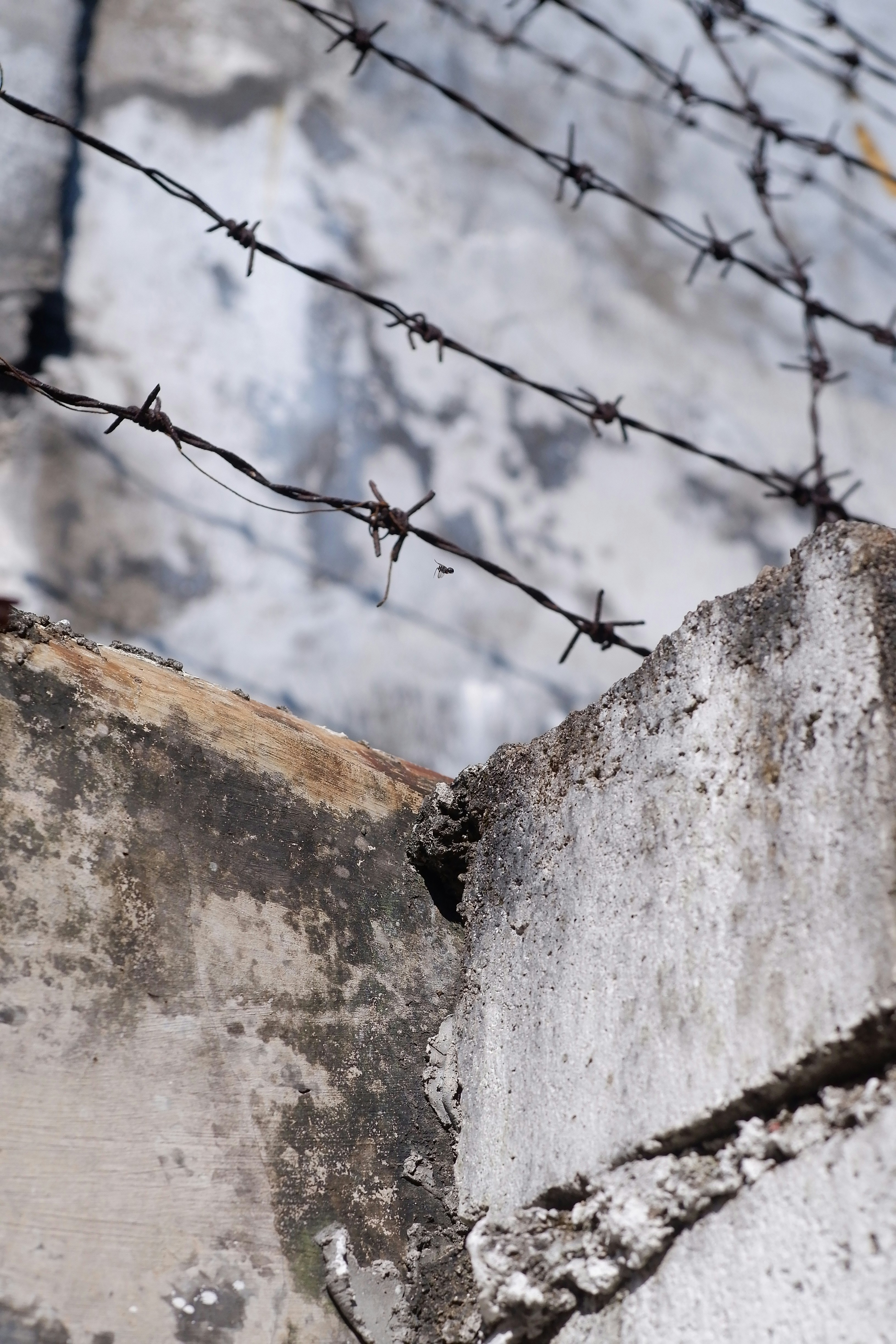 Photo by muaraibrahim