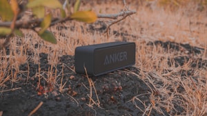 Portable Speaker