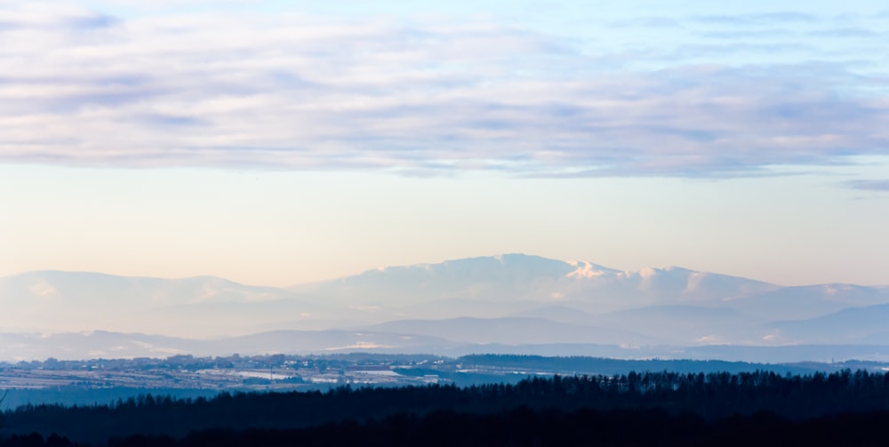 green trees and mountains under white clouds during daytime