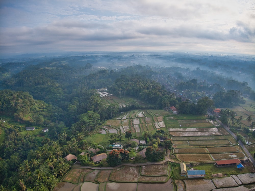 aerial view of green trees and mountains during daytime