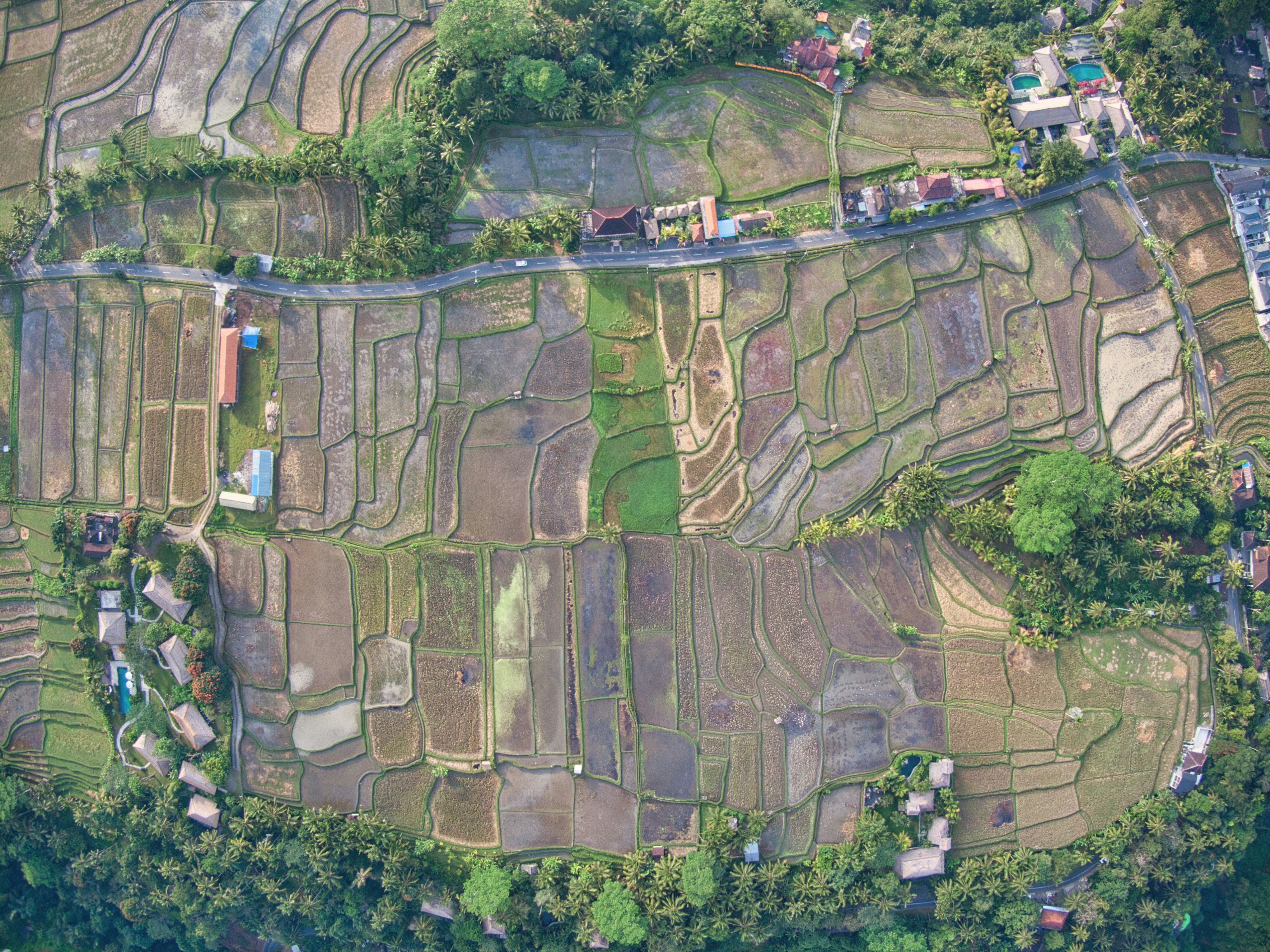 Photo by dannydegroot