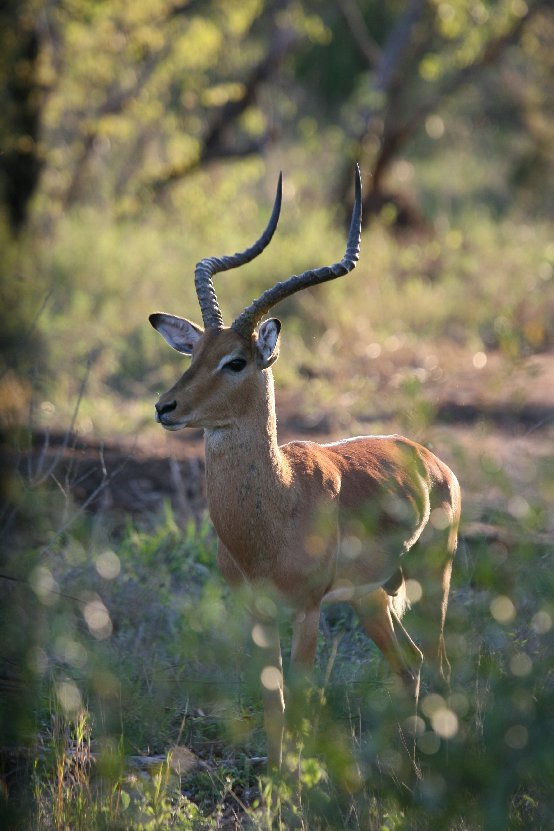Photo by janesoosthuizen