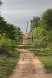 A winding dirt path stretches through a rural landscape, flanked by lush green trees and vegetation. Wooden utility poles with wires run alongside the road, receding into the distance.