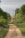 A winding dirt path stretches through a rural landscape, flanked by lush green trees and vegetation. Wooden utility poles with wires run alongside the road, receding into the distance.