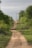 A winding dirt path stretches through a rural landscape, flanked by lush green trees and vegetation. Wooden utility poles with wires run alongside the road, receding into the distance.