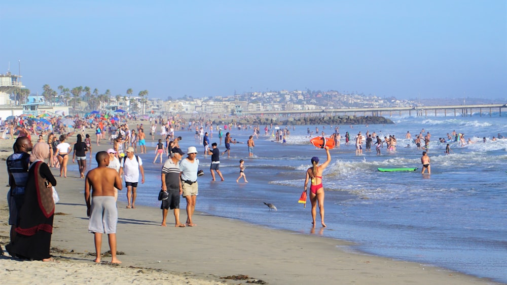 people on beach during daytime