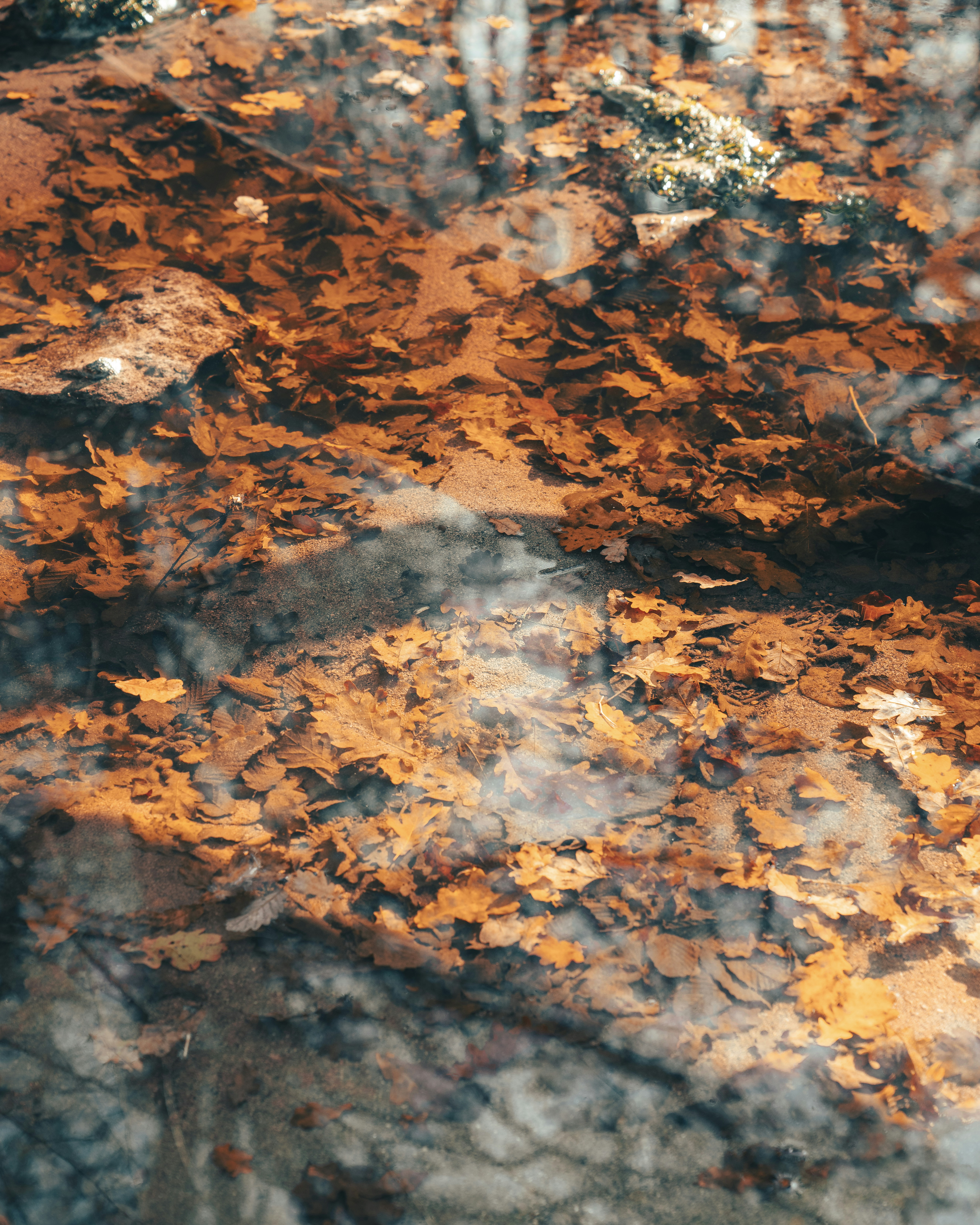 Photo by pierrejeanneret