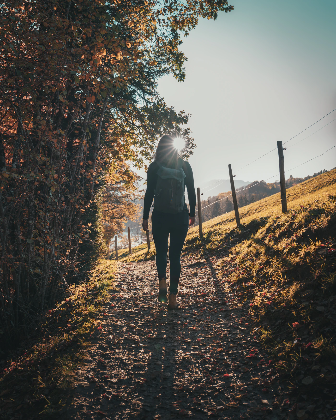 Person geht allein auf einem herbstlichen Weg
