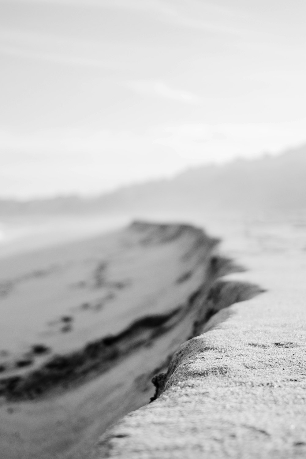grayscale photo of a beach