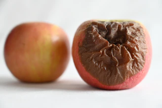 two brown round fruits on white surface