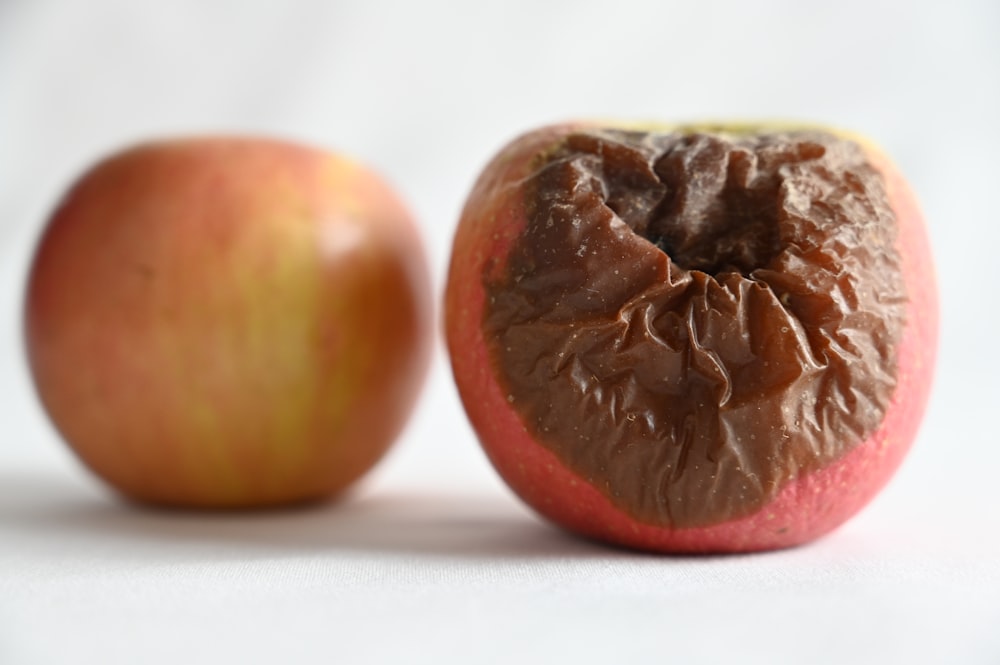 dos frutos redondos de color marrón sobre superficie blanca