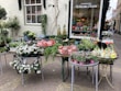A charming outdoor flower shop displays an array of vibrant plants and flowers. The scene includes various pots filled with blooming flowers and lush greenery. The shop's window showcases decorative vases and floral arrangements, creating an inviting and colorful environment.