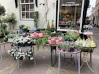 A charming outdoor flower shop displays an array of vibrant plants and flowers. The scene includes various pots filled with blooming flowers and lush greenery. The shop's window showcases decorative vases and floral arrangements, creating an inviting and colorful environment.