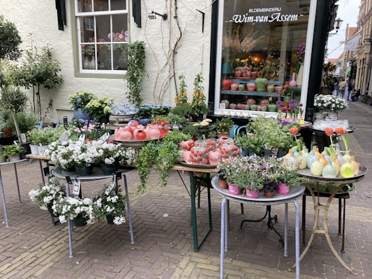 A charming outdoor flower shop displays an array of vibrant plants and flowers. The scene includes various pots filled with blooming flowers and lush greenery. The shop's window showcases decorative vases and floral arrangements, creating an inviting and colorful environment.