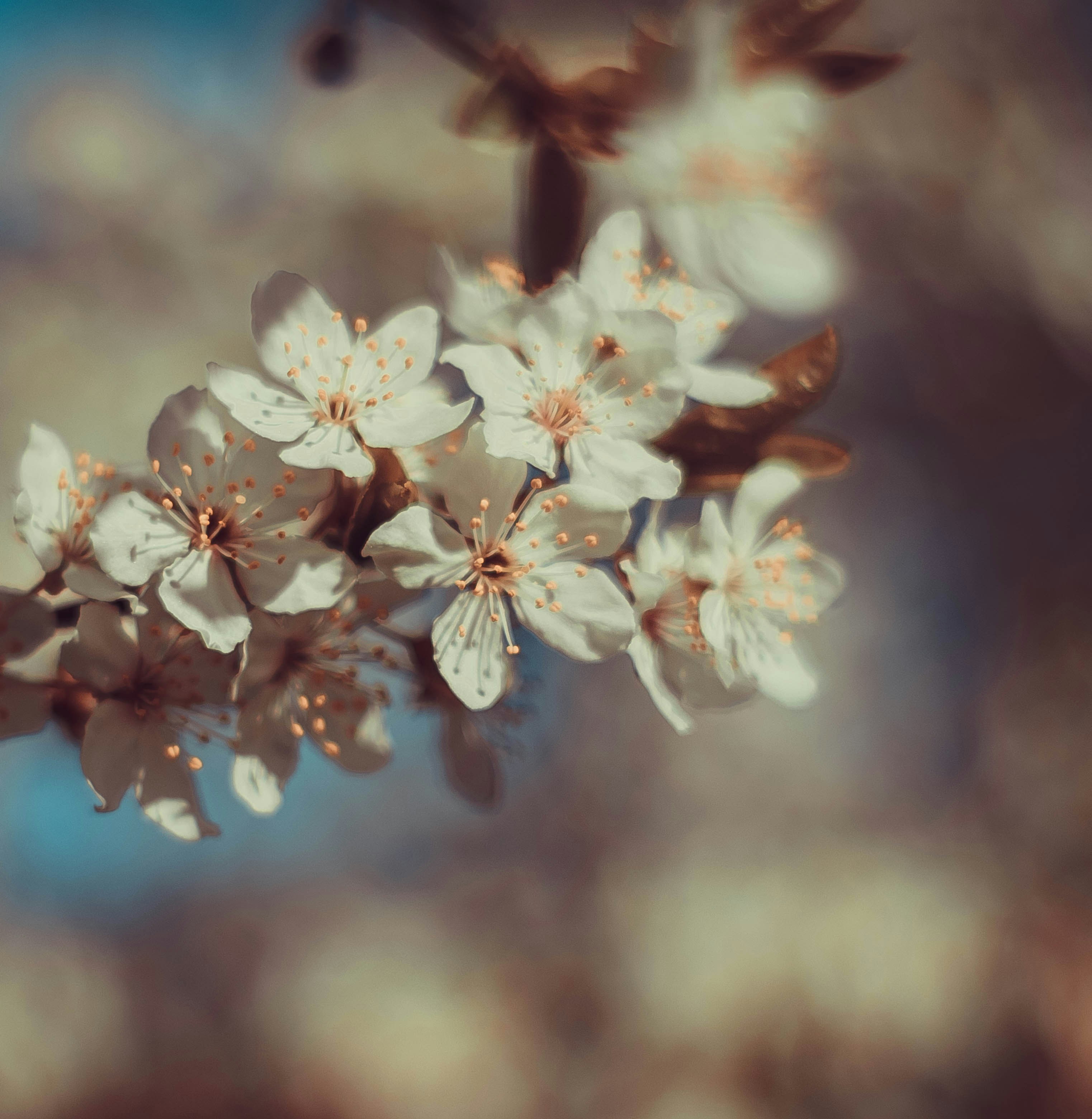 Photo by michalandrzejewski_fotografia