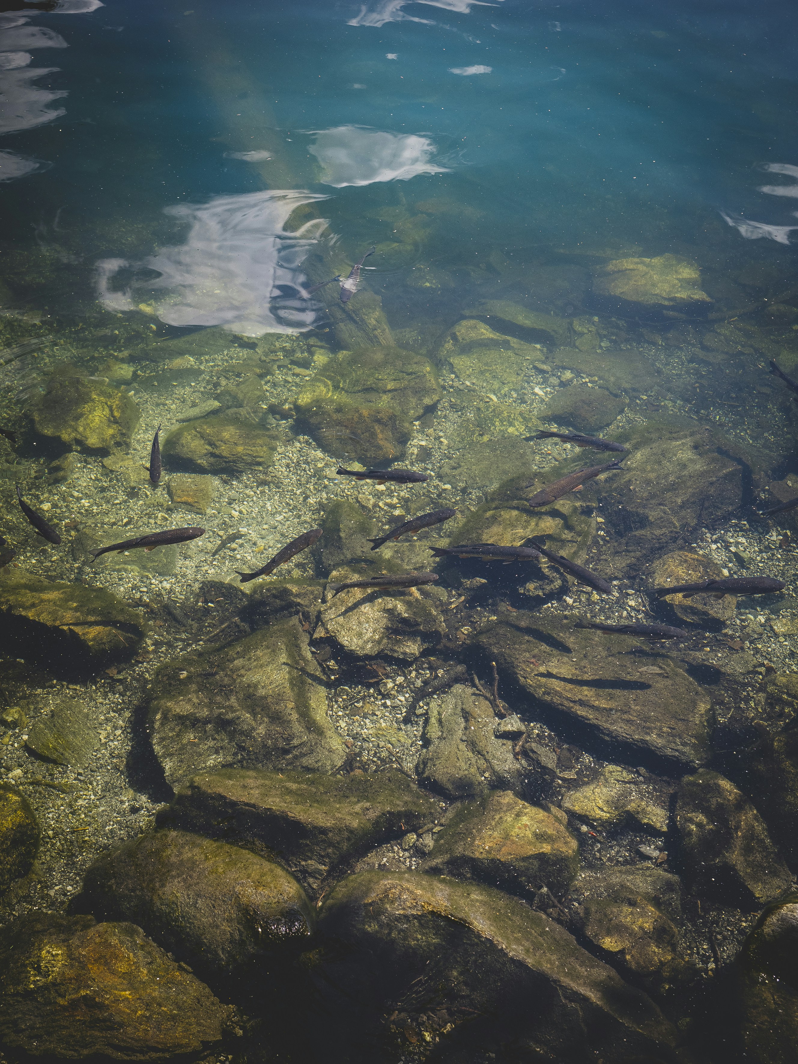 Photo by pierrejeanneret