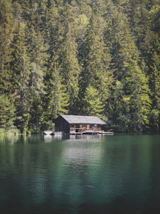 A peaceful lakeside cabin surrounded by lush green forests under a bright summer sky.