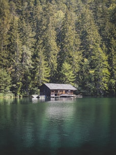 Mountain cabin surrounded by lush greenery and a clear blue lake