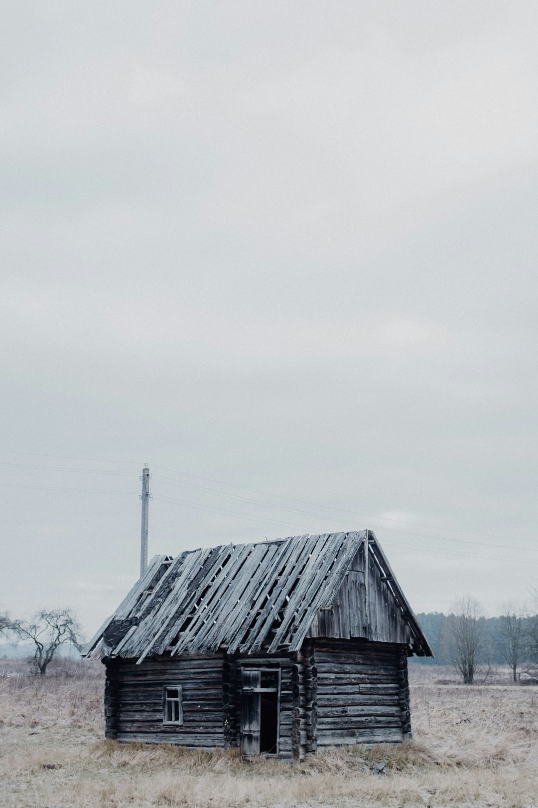 black wooden house near bare trees under white sky during daytime