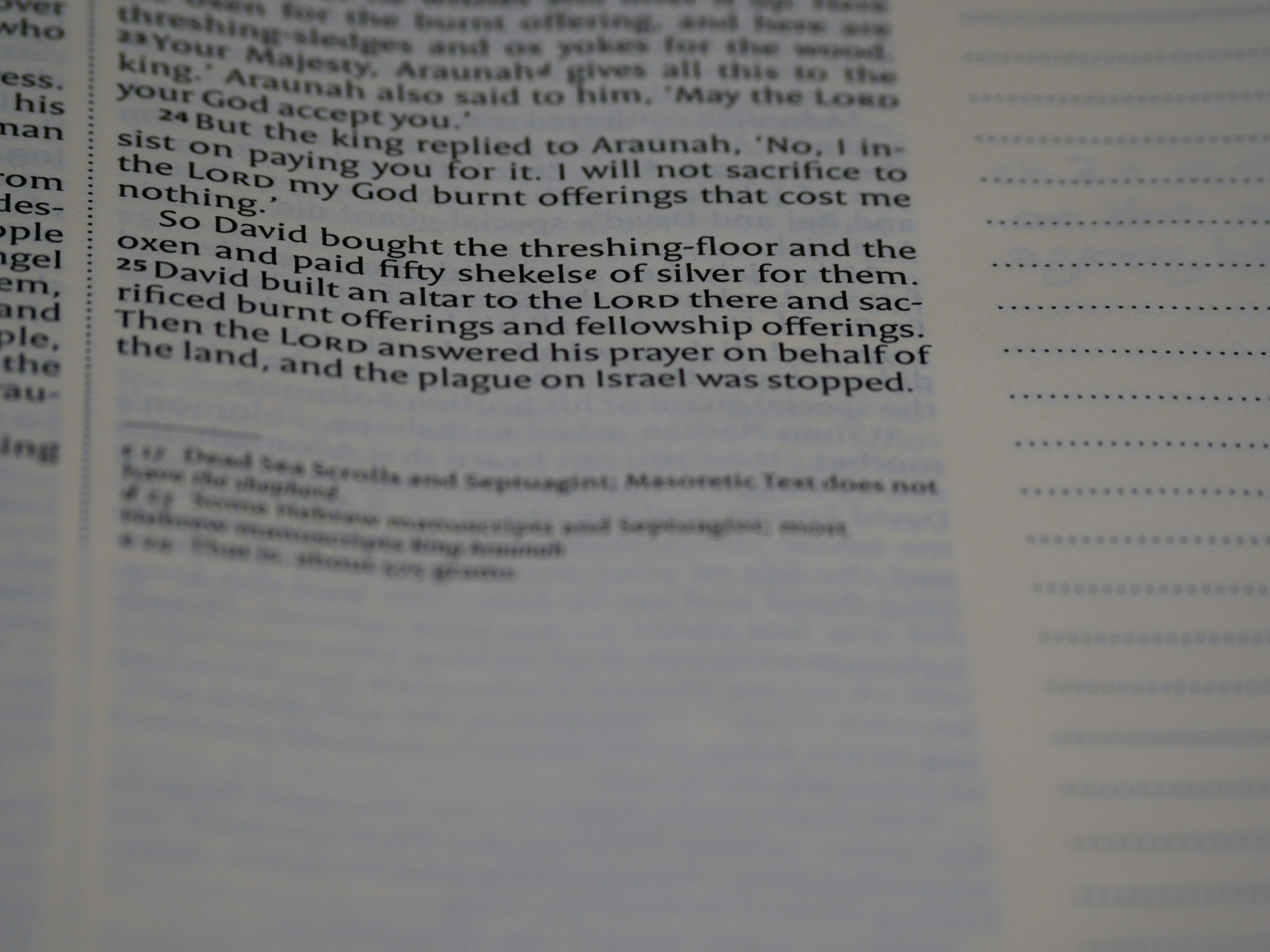 Photo by brett_jordan