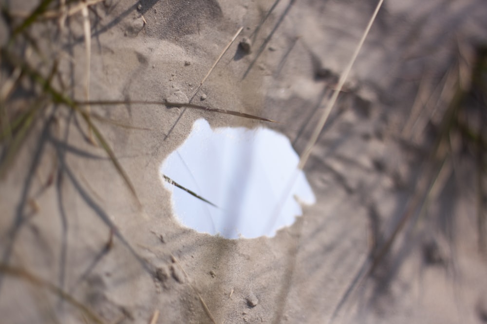 Papier blanc sur bois brun