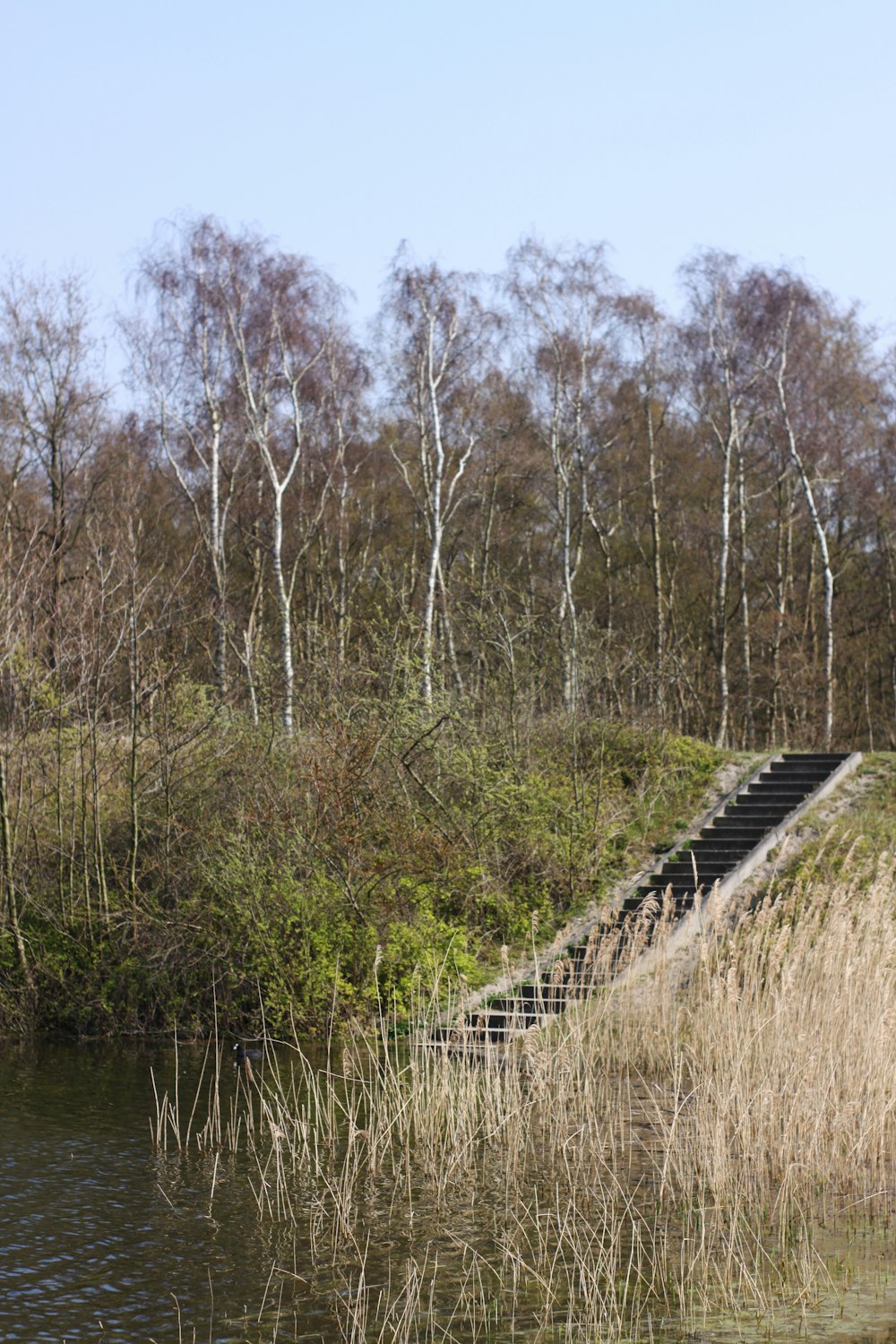 Braune Holzbrücke über den Fluss