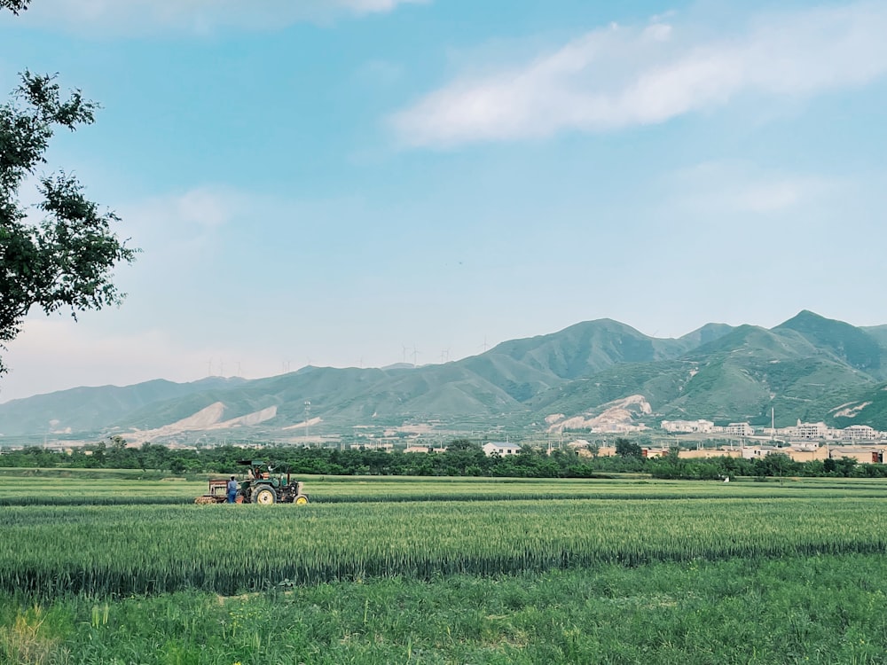 green grass field near mountain during daytime