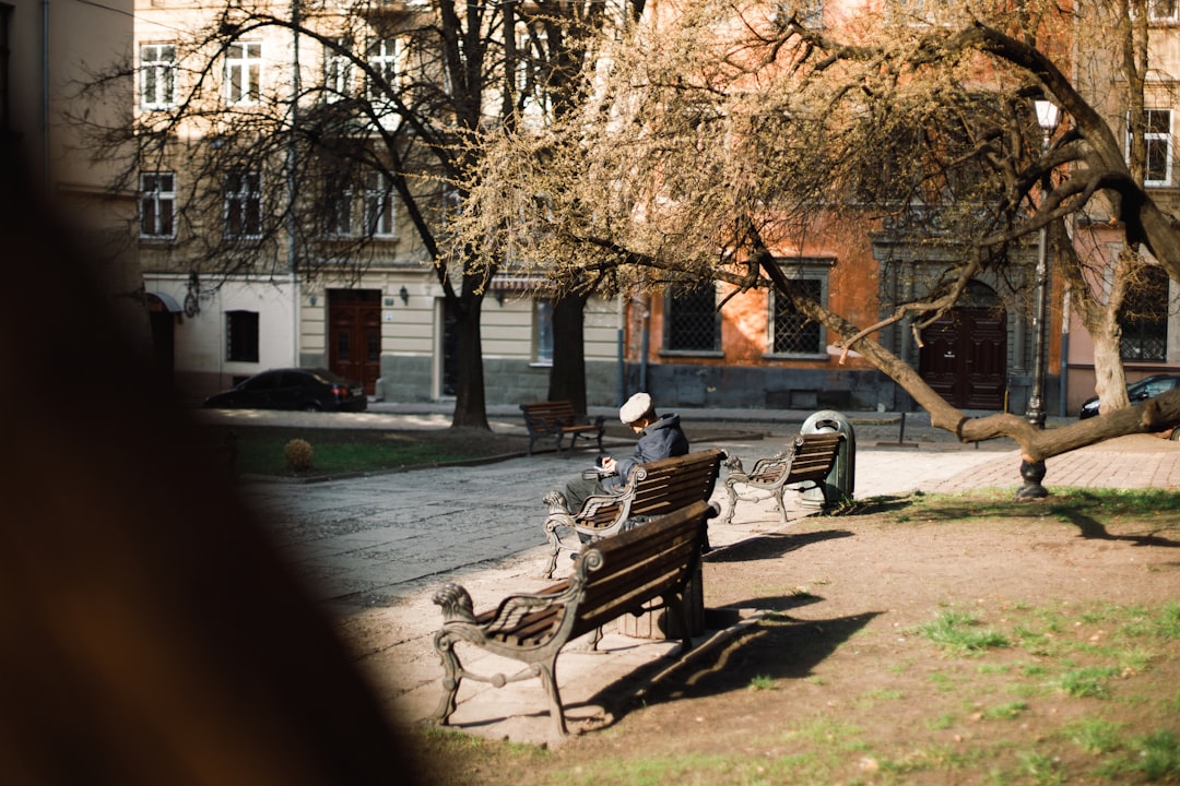 brown wooden bench near brown trees during daytime