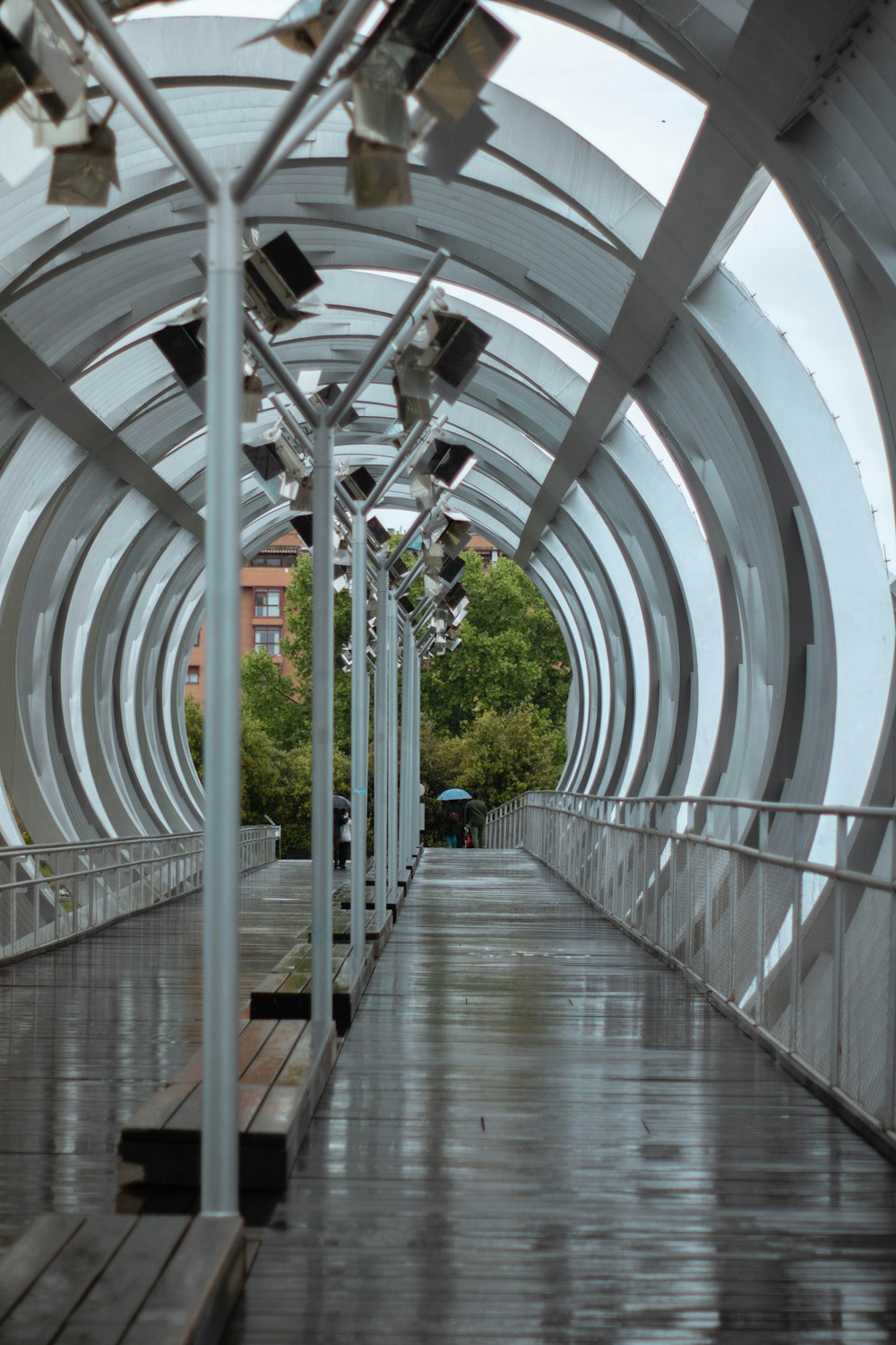 white metal framed glass building