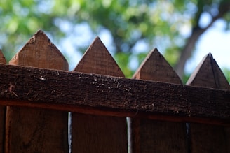 A close-up view of a wooden fence with pointed tops. The wood appears aged and textured, with visible grain and imperfections. In the background, there is a blur of green foliage from trees, suggesting a natural setting.