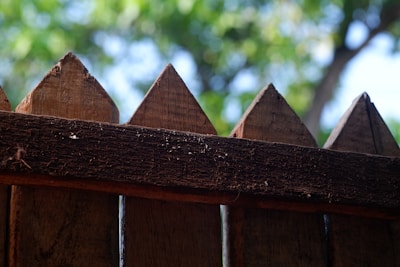 A close-up view of a wooden fence with pointed tops. The wood appears aged and textured, with visible grain and imperfections. In the background, there is a blur of green foliage from trees, suggesting a natural setting.