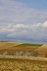 green grass field under cloudy sky during daytime