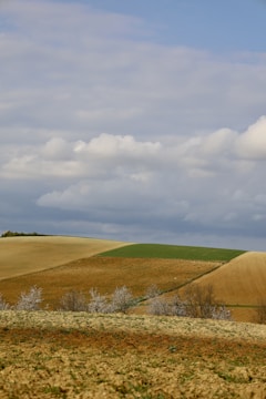 green grass field under cloudy sky during daytime