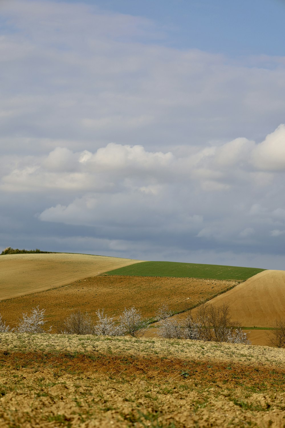 green grass field under cloudy sky during daytime