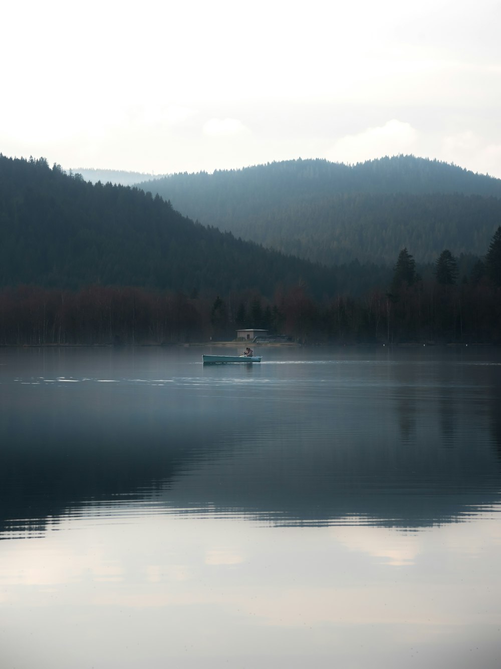 white boat on calm water near green trees during daytime